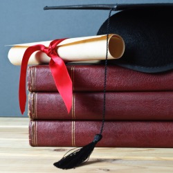 Postgraduate certificate and postgraduate diploma