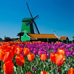 The Netherlands: an overview