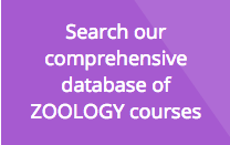 Zoology Course Search