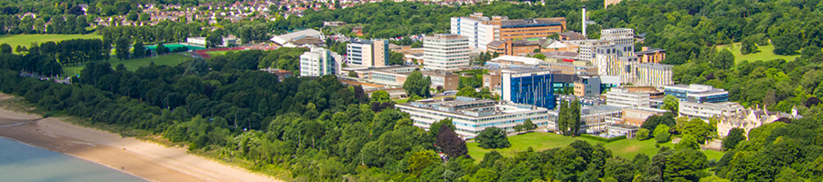 Swansea University, School of Culture and Communication