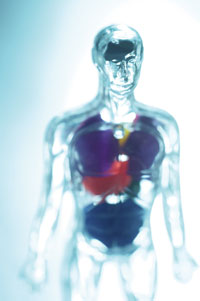The Virtual Physiological Human (VPH) seeks to create a comprehensive computer model of the human body