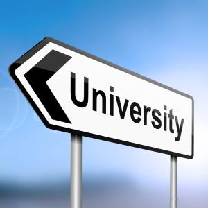 Rankings: University Website